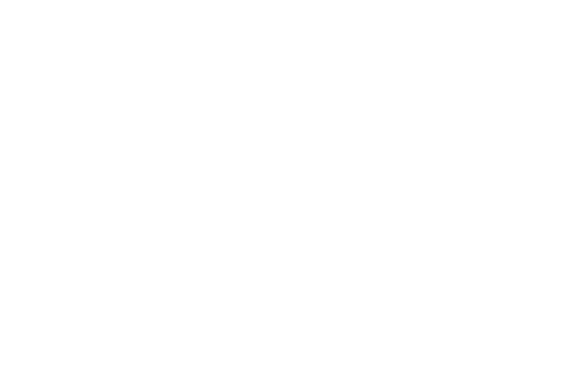 Logo von Oberleiten Apartments weiß transparent