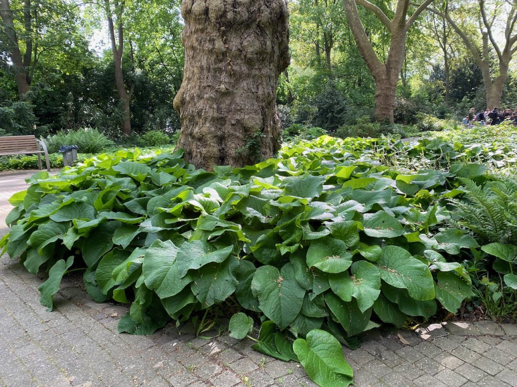 Ebertpark in Ludwigshafen