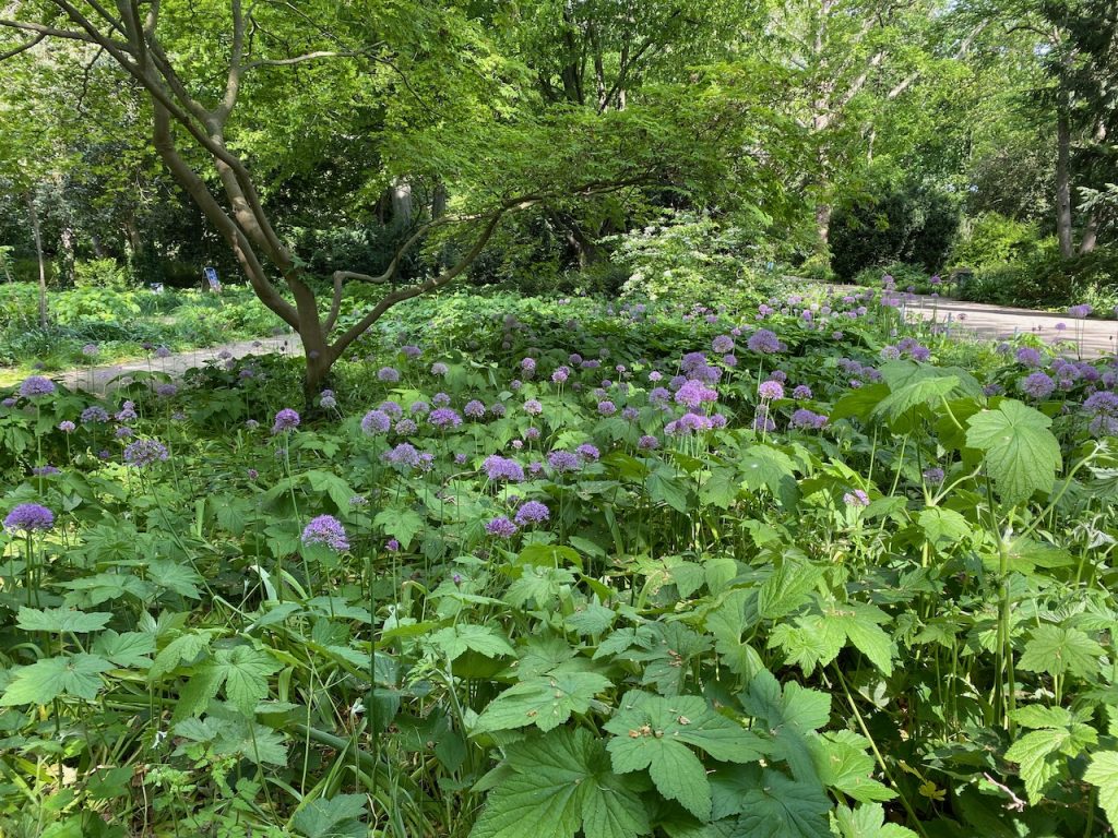 Ebertpark in Ludwigshafen