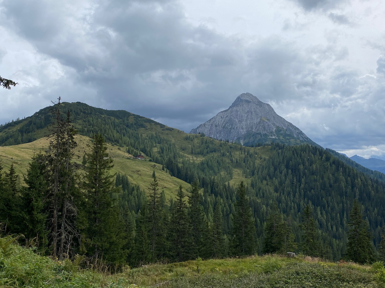 View towards Ennskraxn