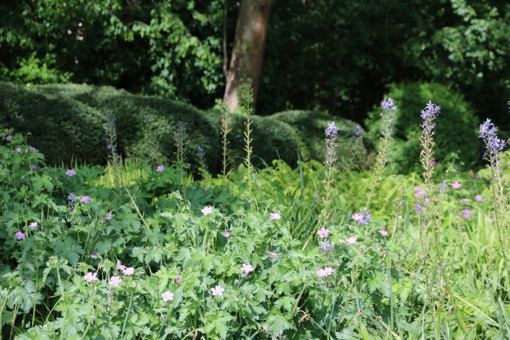 Ebertpark in Ludwigshafen