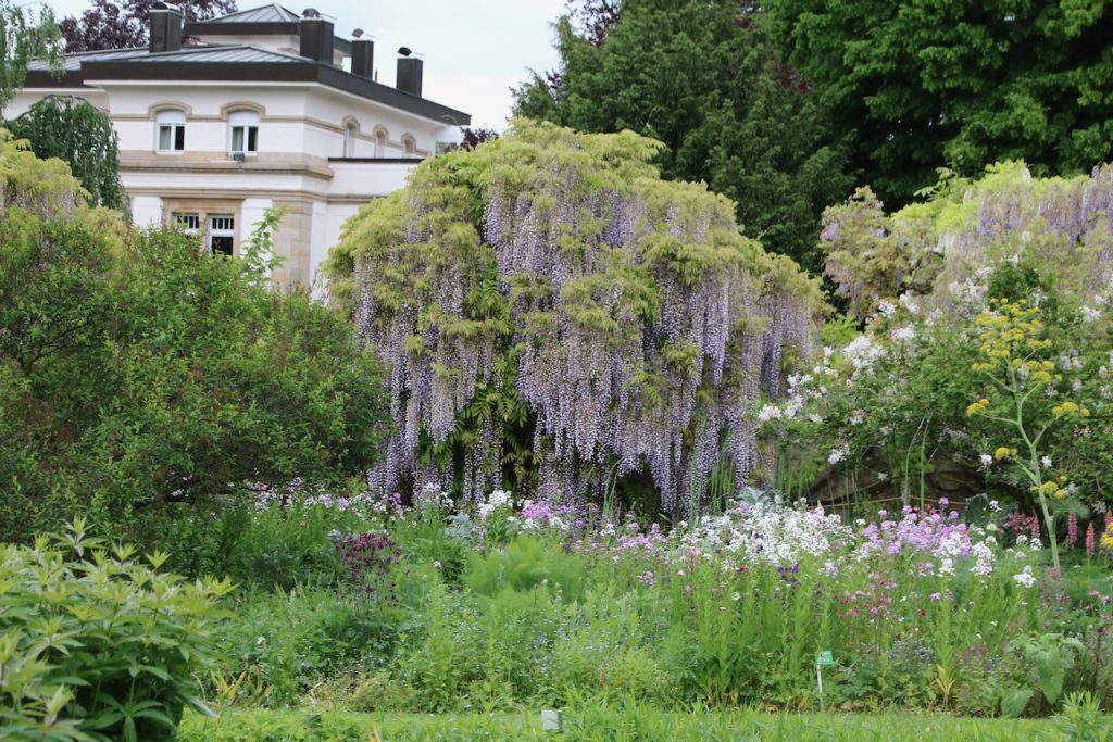Hermannshof show and sighting garden