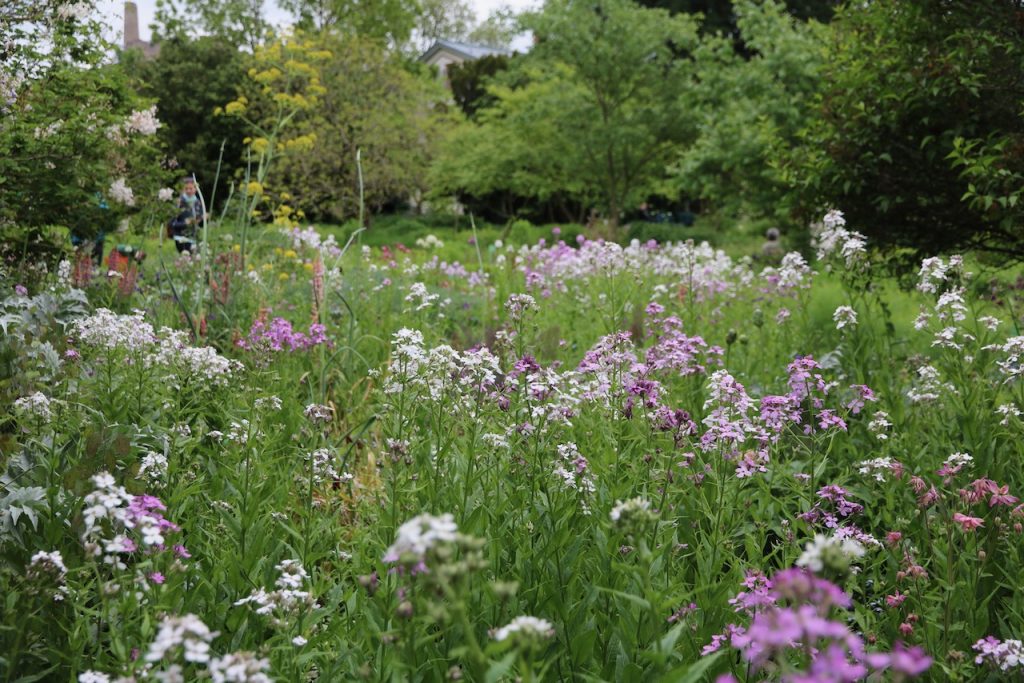 Hermannshof show and sighting garden