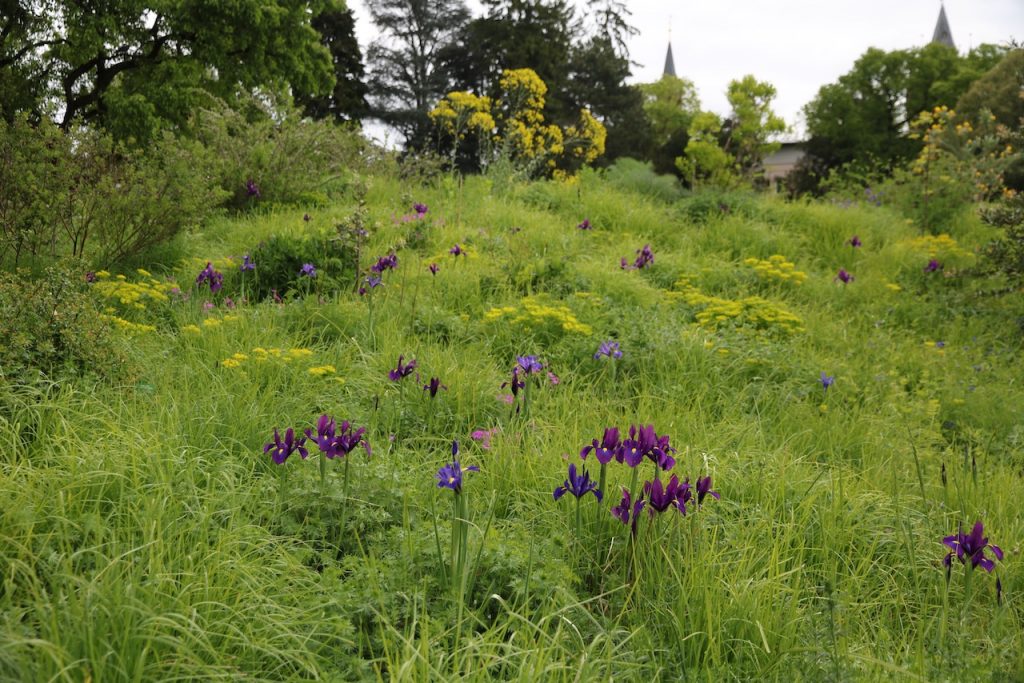 Hermannshof show and sighting garden