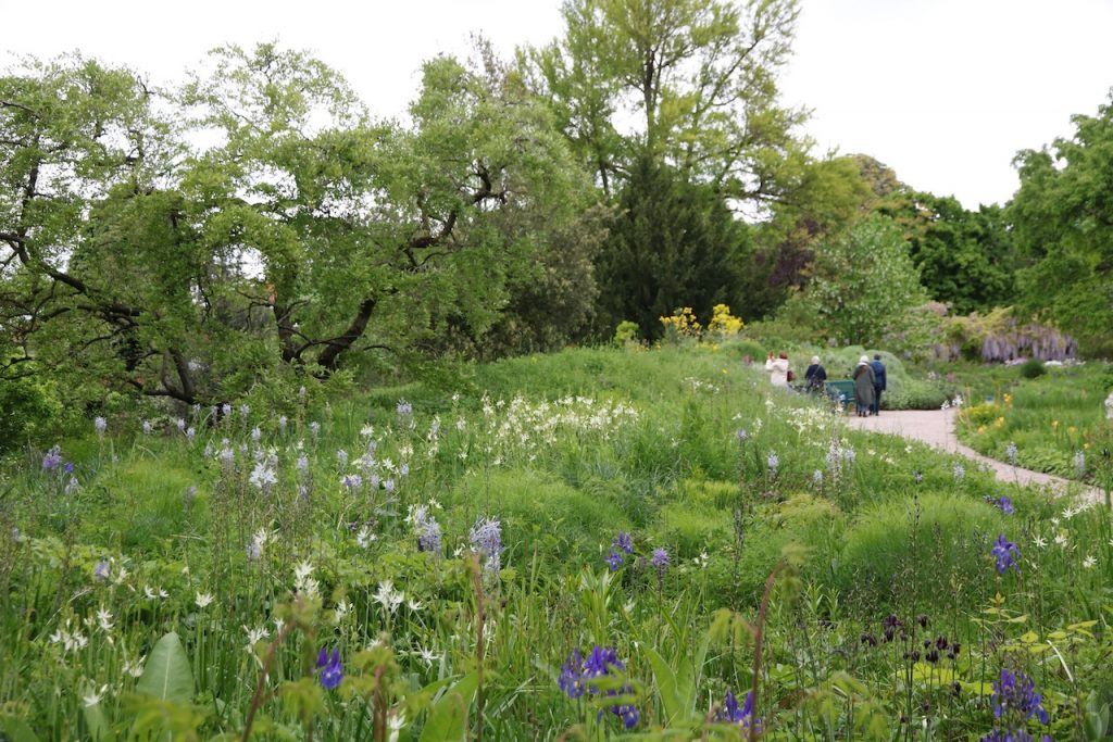 Hermannshof show and sighting garden