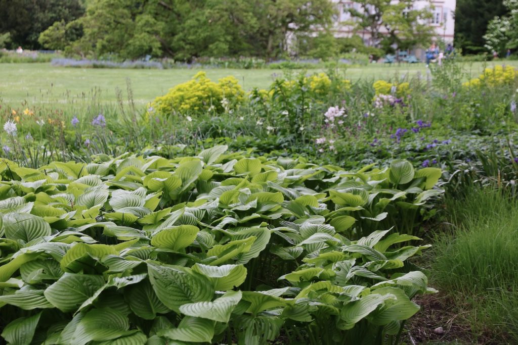 Hermannshof show and sighting garden
