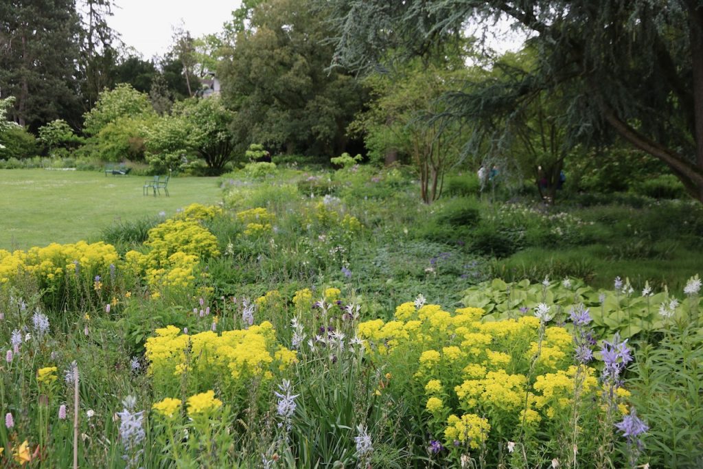Hermannshof show and sighting garden