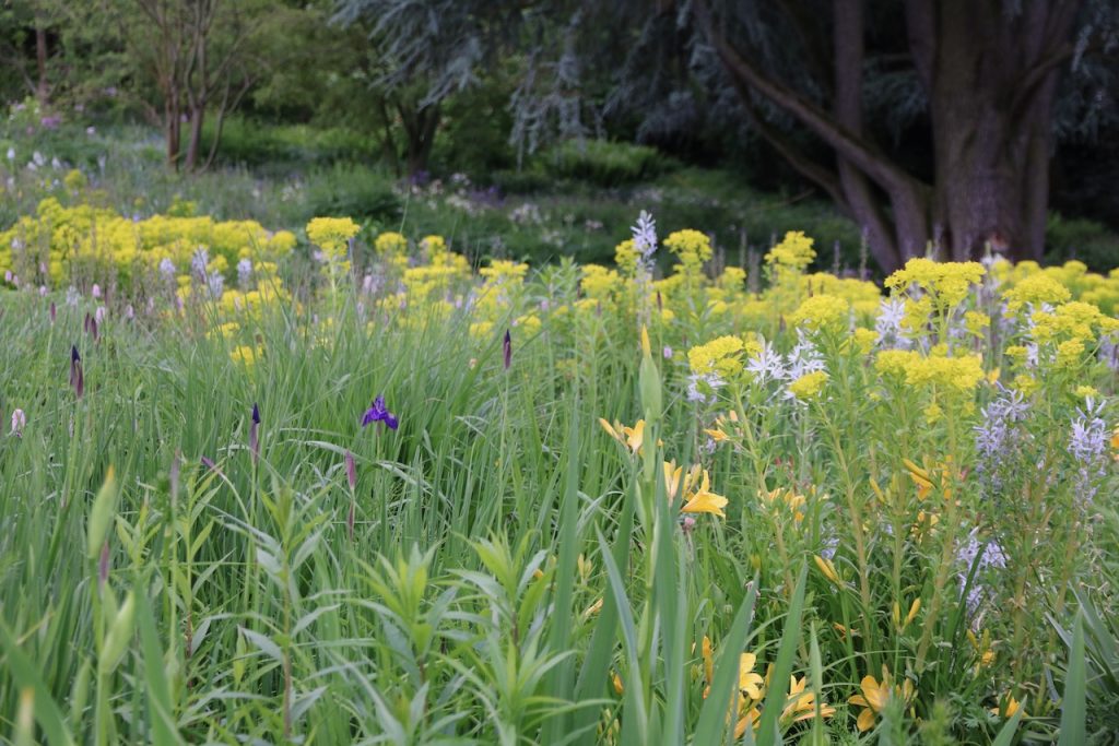 Hermannshof show and sighting garden