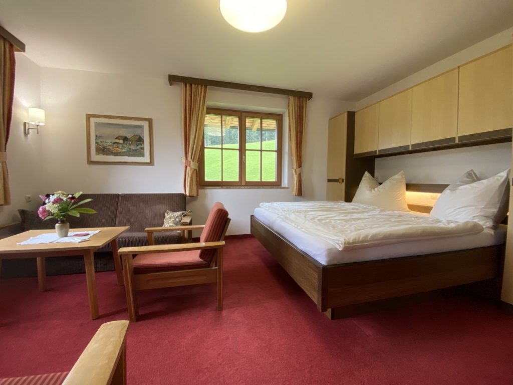 Living and sleeping area in apartment Hochgründeck