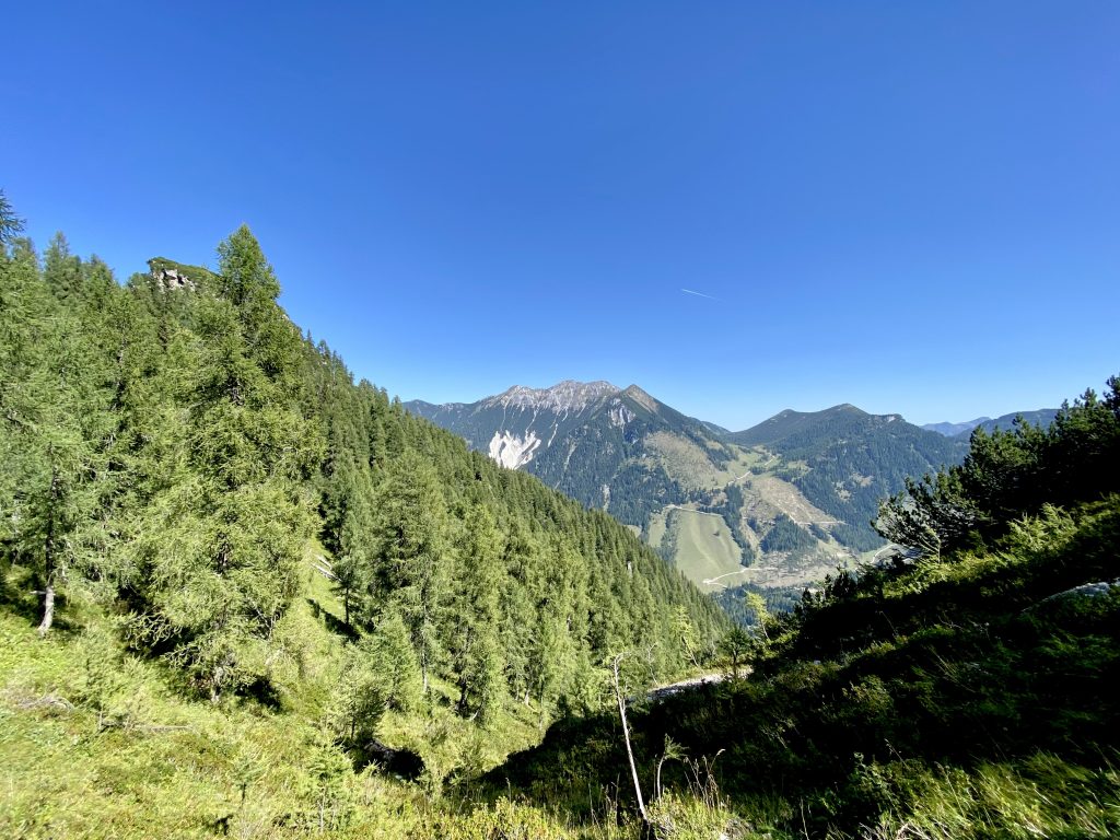 Ascent to the Obere Gasthofalm. View back towards Hafeichtscharte and Schwarzkopf.