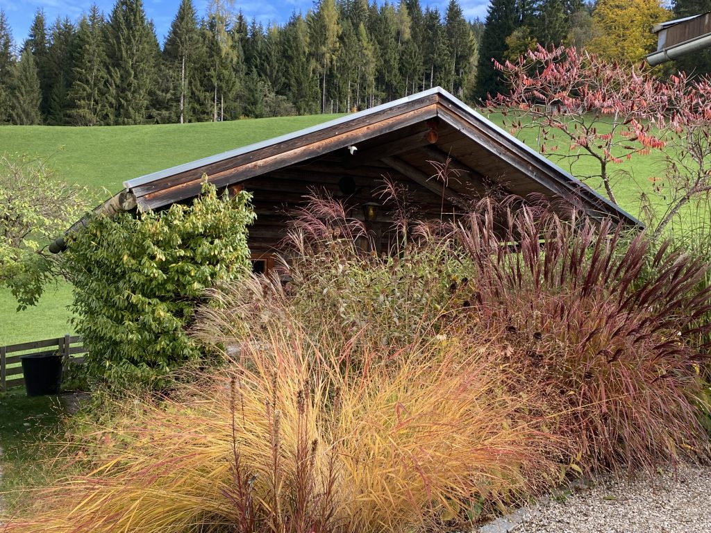 Grass garden in autumn colours in front of the garden hut