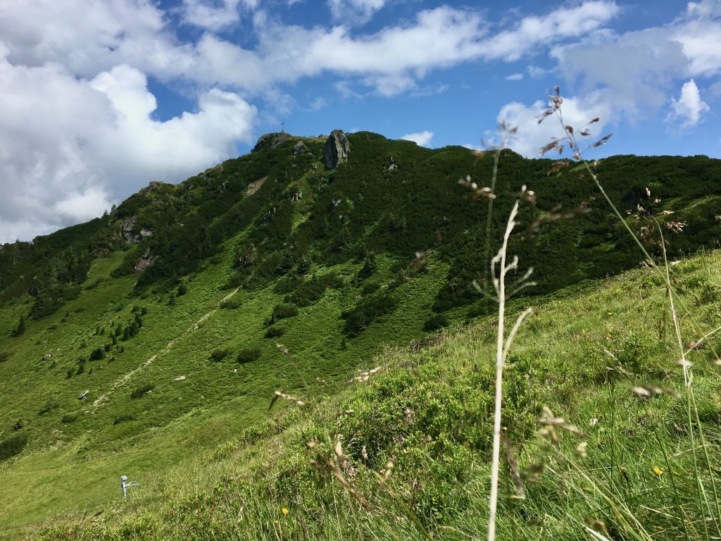Our local mountain, the Grießenkareck