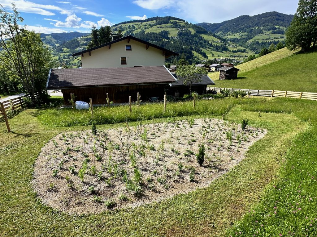 The gravel bed after planting