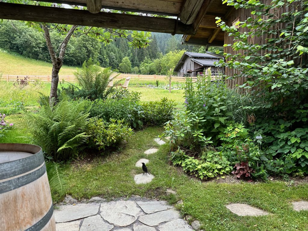 Between the garden hut and carport with a view of the new garden section