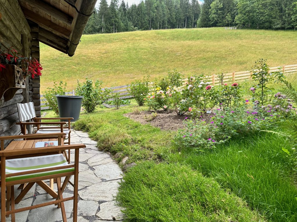 The seating area by the garden hut with a view of the rose bed