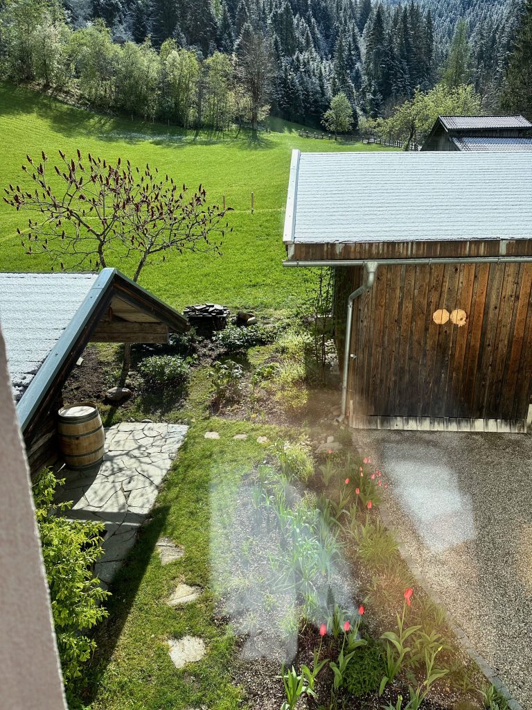 View from the house towards the east of part of the new garden