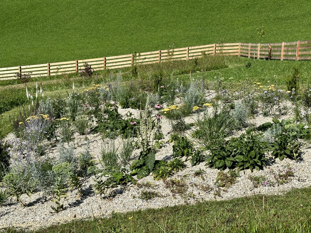 The gravel bed at the beginning of August 2024