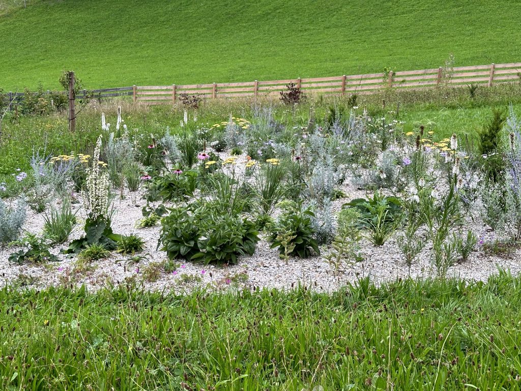 The gravel bed at the beginning of August 2024