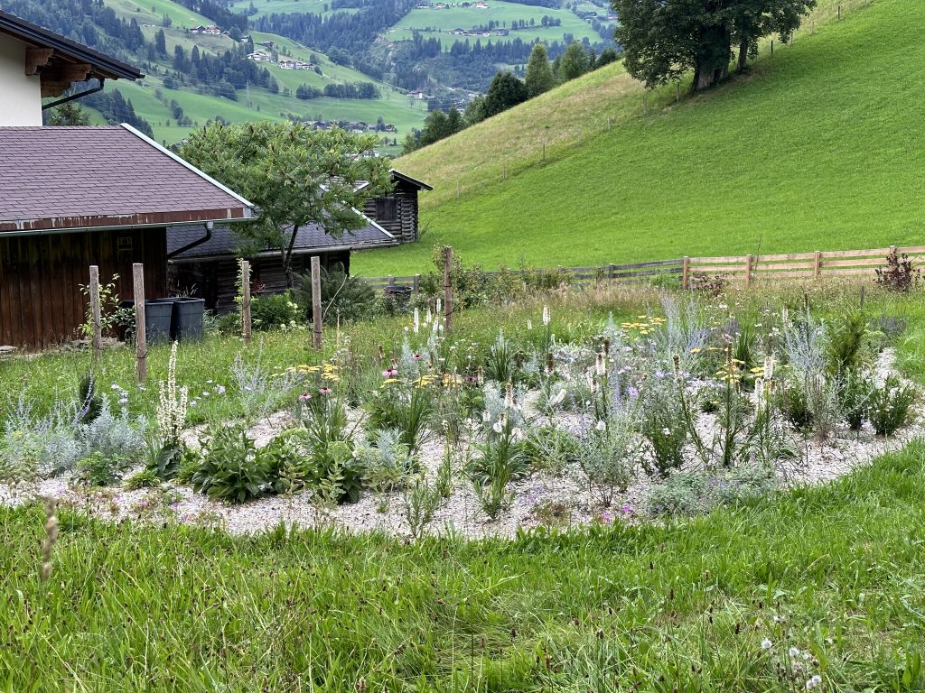 The gravel bed at the beginning of August 2024